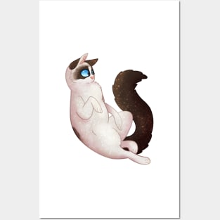 Cozy Ragdoll Cat Posters and Art